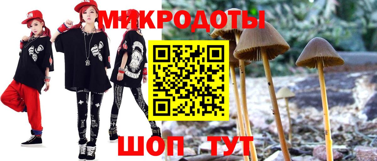 Холмск  Псилоцибиновые грибы Cubensis  Вход с VPN 